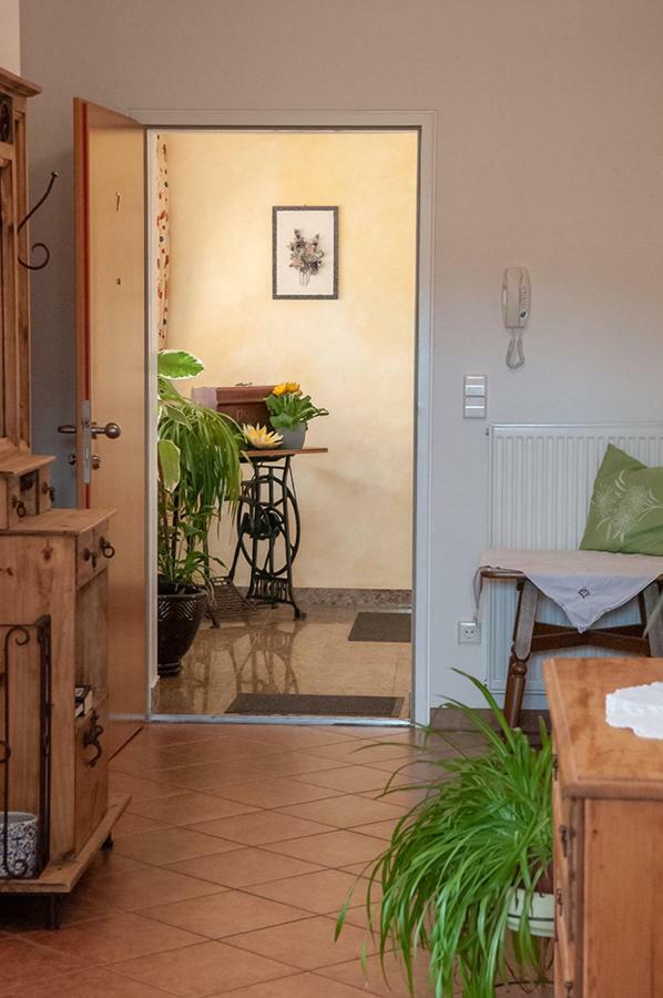Pension Hiesel-Villa Untersbergblick Anthering Экстерьер фото