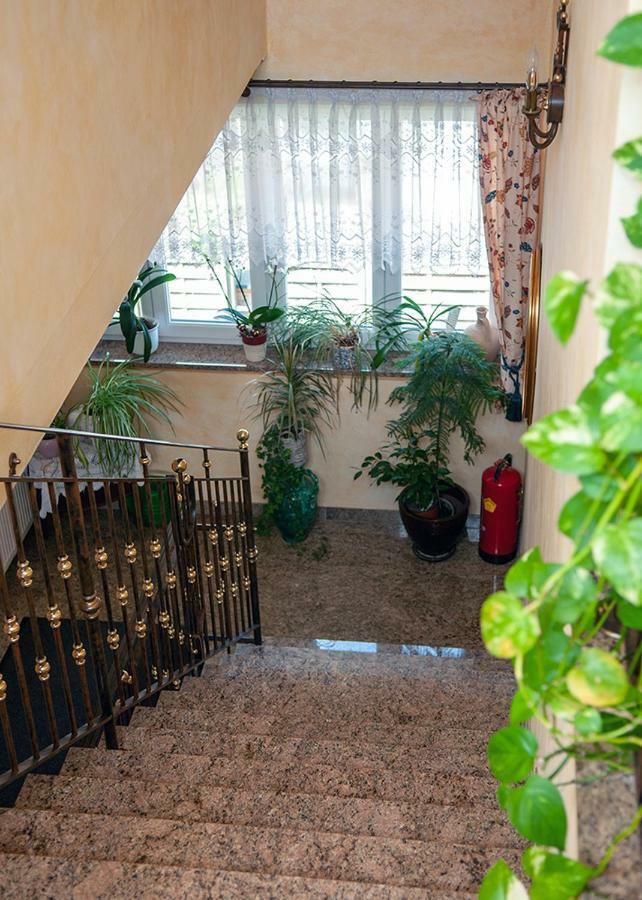 Pension Hiesel-Villa Untersbergblick Anthering Экстерьер фото